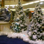 DSCN0809