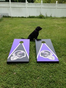 ravens
